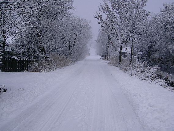 Zugeschneite Strasse (Foto:  U. Scholl, 12/2010)