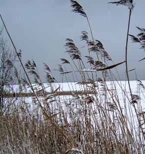 Winterlandschaft