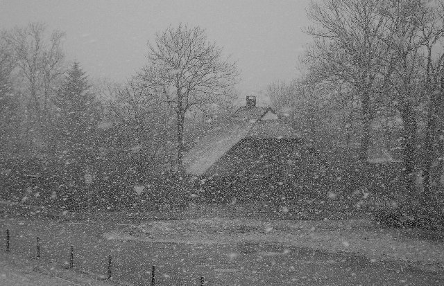 Die ersten Schneeflocken