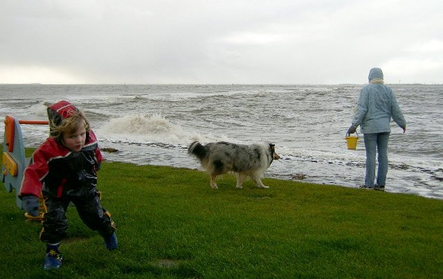 Toben am Strand